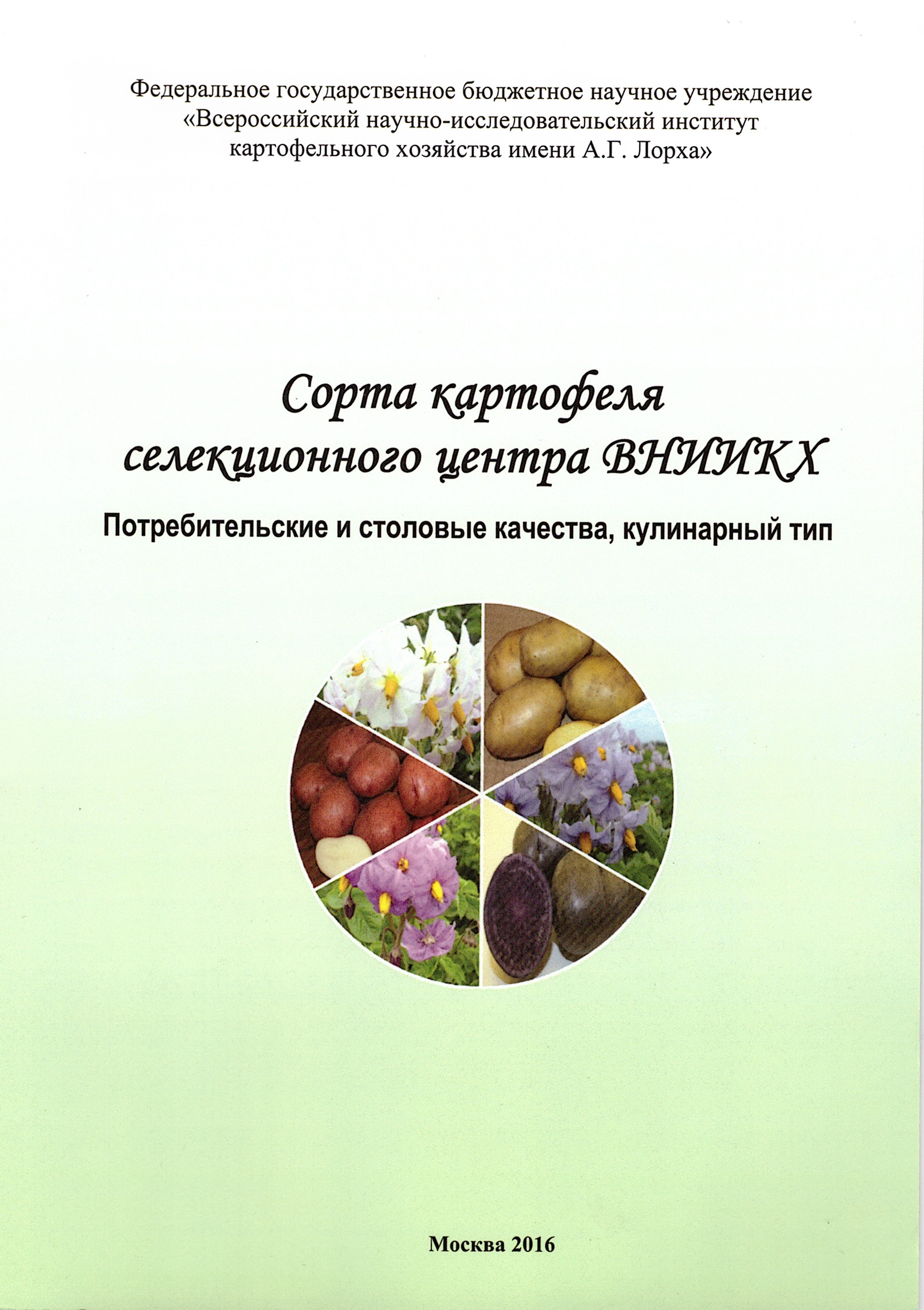 Сорта картофеля селекционного центра ВНИИКХ